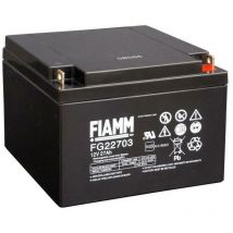 Fiamm spa batteria al piombo 12v 27ah fg22703