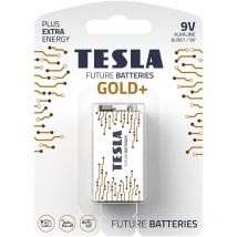 Batteria Alkalina 9 v Tesla Pz 1 Serie Gold+