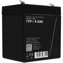 Berghoff - Batteria da 12V 4,5Ah- per l'Auto Elettrica per Bambini