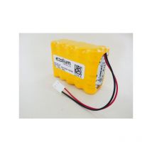 Batteria NiCd 12V 800mAh per allarme acustico esser tipo 4