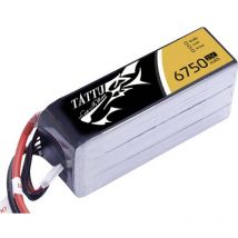 Batteria ricaricabile LiPo 14.8 v 6750 mAh Numero di celle: 4 25 c Softcase XT90 - Tattu