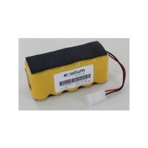 Exalium Premium - Batterie 12V 3Ah NiMh pour Air Force Compact Rowenta RH5488