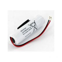 Daitem - Batterie alarme 3.6V 2Ah 951-21X