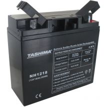 Batterie Motoculture Gel/agm Honda, Stiga, Castelgarden, Tashima Nh1218