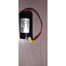 Energivm - Batterie au lithium 3,6v 20a avec câbles et connecteur Ler34615hca