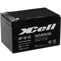 Xcell Xp1212 Xcexp1212 Bleibatterie Rechargeable 12v 12ah Blei-vlies (agm) (b X H X T) 151 X 101 X 98mm Flachprise Mâle 6.35mm W