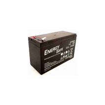 Energy Safe - Batterie vrla agm au plomb Series 12 v 9,0 Ah C20 (F2)