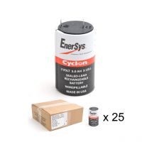 Enersys - Batterie cyclon 0800-0004 (x cell) 2V 5Ah F6.35