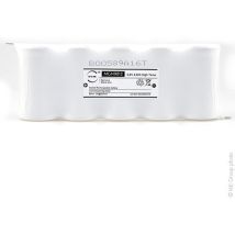 NX - Batterie eclairage secours 5xD ST1 Faston 4.8mm 6V 4Ah