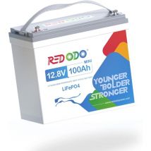 Batterie au Lithium LiFePO4 12V 100Ah mini, Pour les boîtiers de taille Groupe 24, 100A bms, 4000-15000 cycles, idéal pour systèmes solaires,