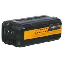 Texas - Batterie lithium 2,5Ah pour outils de jardin électrique à batterie 40V