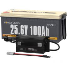 Batterie Lithium 24V100Ah 2560Wh Rechargeable LiFePO4+29,2V 20A Chargeur de Batterie au Lithium Power Queen Expédition en Deux Colis)