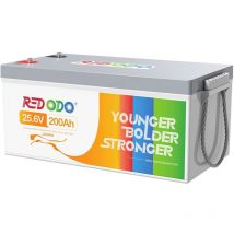 Batterie lithium 24V200Ah rechargeable LiFePO4, bms 200A, 5120Wh Max.énergie, 4000-15000 Cycles profonds, pour systèmes solaires,Hors Réseau,kits de