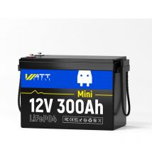 Batterie Lithium LiFePO4 12V 300Ah (Capacité Testée 300-310Ah, Étiquette 280Ah), bms 200A Intégré, 2560W, 15000 Cycles, Stockage Énergie Solaire,