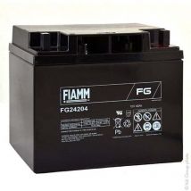 Batterie plomb agm FG24204 12V 42Ah M6-M - Fiamm
