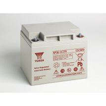 Yuasa - Batterie plomb agm NP38-12IFR 12V 38Ah M5-F