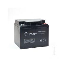 NX - Batterie plomb agm 45-12 General Purpose fr 12V 45Ah M6-F