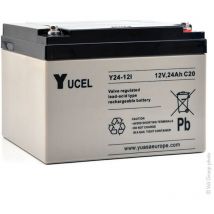 Batterie plomb agm Y24-12I 12V 24Ah M5-F - Yucel