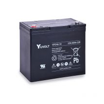 Yucel - Batterie plomb agm YPC55-12 12V 55Ah M6-F