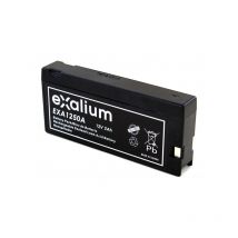 Exalium - Batterie plomb 12V 2Ah EXA1250A