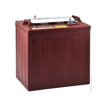 Trojan - Batterie traction TROJAN T-105 6V 225Ah M8-M