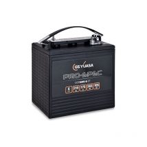Yuasa - Batterie traction pro-spec DCB605-6 6V 210Ah M8-V