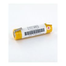 Exalium Premium - Batterie Saft 2.4V 2 VTCs 1600 Baton