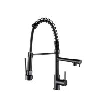 Batterie sanitaire professionnelle de luxe, avec douche de cuisine flexible, 360 degrés, tuyau supplémentaire, acier inoxydable, inclus des
