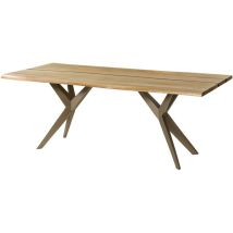 Baumtisch Mango 220x100x76 Natur Lackiert / Epoxid Schwarz, Sterngestell Silber Matt Epoxy