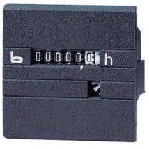 Bauser - 630R/008-021-0-1-001 Compteur horaire 630