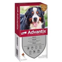 Shampoing anti-puces et antiparasitaire pour chien – ELANCO