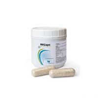 Bayer - Rycaps Rumial mit lebenden Hefen, 500gr (25 Bolos x 20 g)