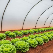 Kalembal - Bâche Serre 6x11 m - Translucide - Très résistante - Etanche - Anti-UV - Fabrication française