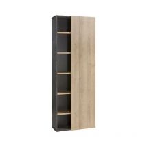 Bücherregal mit 6 Einlegeböden und Holztür für Büro und Inneneinrichtung h 220 cm