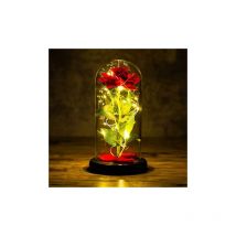 Beauty and the Beast Rose Gift Set, Eternal Roses, Red Silk Rose and led Light for Home Decor, Anniversary, Wedding, Valentine's Day, Mother's Day,
