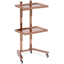 Physa - Beauty Trolley - 2 folding shelves - up to 10 kg - rose gold - stainless steel