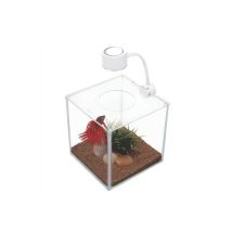 Marina – Aquarium Cubus 3,4 L – 15 x 15 x 15 cm – Éclairage LED – Jouet d'occupation pour chien