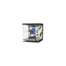 Marina – Kit aquarium Ying Yang – Capacité 2L – Design décoratif – Caractéristique de la peluche