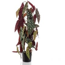 Bégonia Maculata artificiel 75 cm en pot Emerald