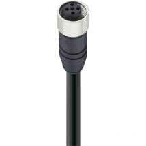 Belden - 10973-1 Sensor-/Aktor-Datensteckverbinder, konfektioniert M12 Buchse, gerade 3.00 m Polzahl s