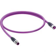 Belden - 11019-BK Sensor-/Aktor-Datensteckverbinder, konfektioniert M12 Stecker, gerade, Buchse, gerad