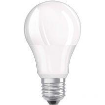 Lampadina led E27 smerigliata standard, 10W, bianco freddo.