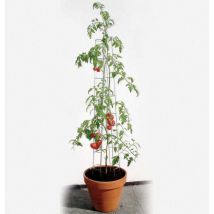 Bellissa - Tomatenturm 180 Cm Hoch Spalier Rankhilfe Rankgitter