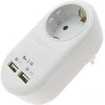 Bematik - Fiche Schuko 16A avec chargeur 2 x usb a femelle