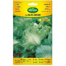 Beutel mit Asa de Cántaro-Kohlsamen 000250BOLSH Agreen