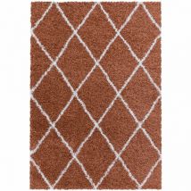 Alvor - Tapis à Poils Longs Design Berbère Motif Losanges - Terracotta et Blanc - 240x340cm