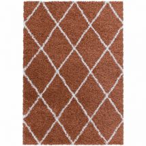 Alvor - Tapis à Poils Longs Design Berbère Motif Losanges - Terracotta et Blanc - 120x170cm