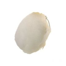 Bouchon d'agneau mm 140 339.00 Pg