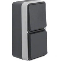 Combinazione interruttore/prese Superficie W.1 Grigio, Grigio luminescente 47803515 1 pz. - Berker