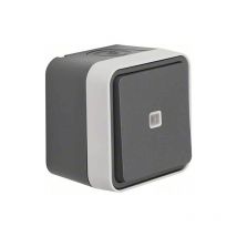 Bouton poussoir inverseur 50763505 GRIS clair W.1 BOUTON-POUSSOIR 4011334395263 - Berker